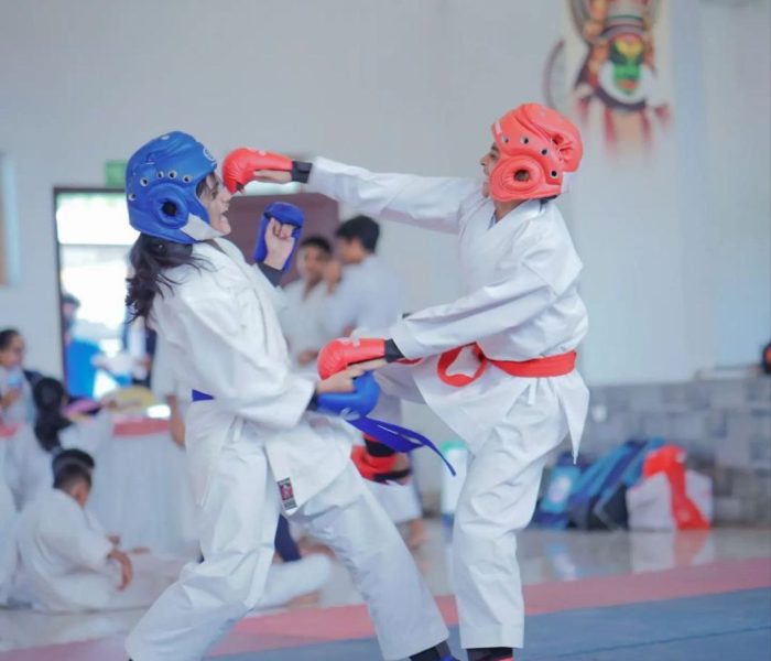karate academy for adults
